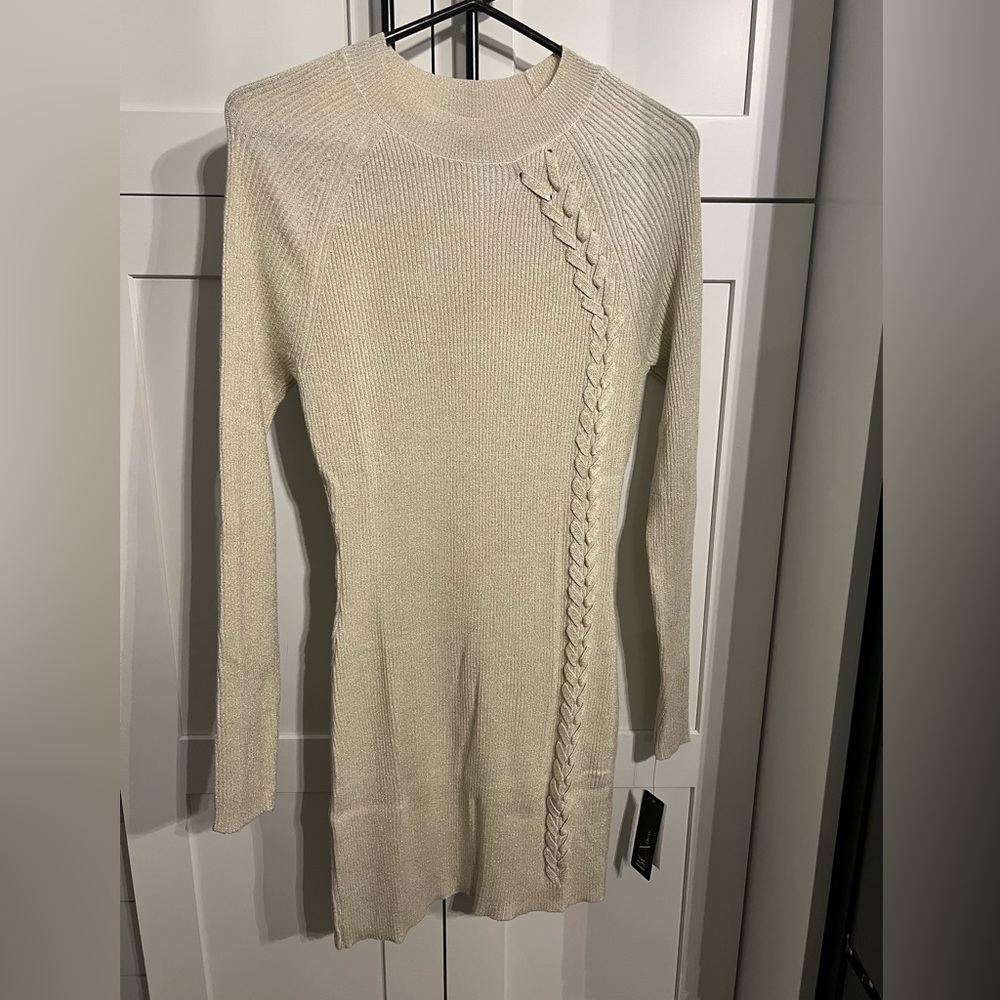 Junior’s Sweater Dress (Never worn)